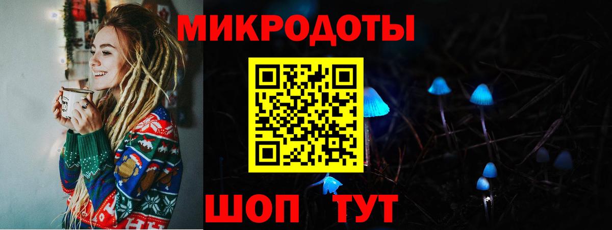 Павловский Посад  Галлюциногенные грибы Psilocybine cubensis  Вход с VPN 